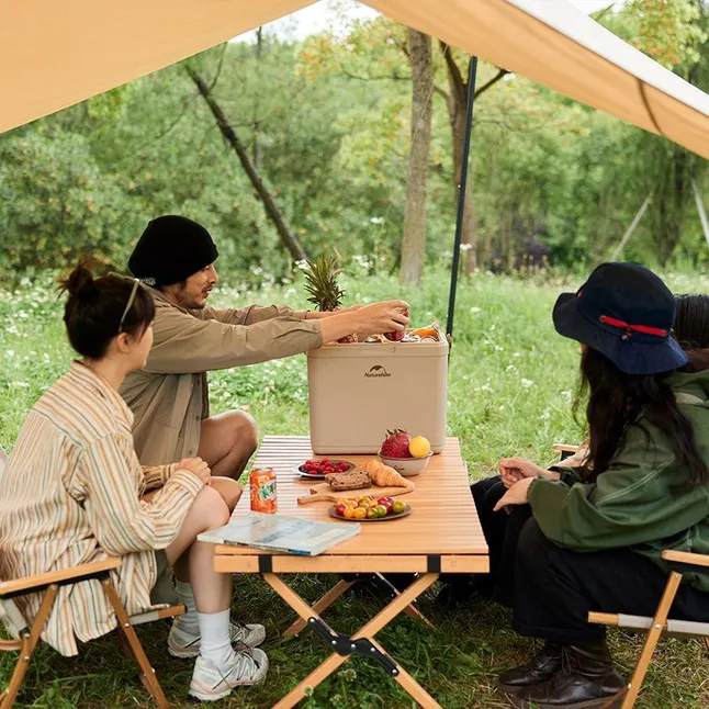 Туристичний холодильник Naturehike CNK2300BS011, 13 л, бежевий — Photo 4