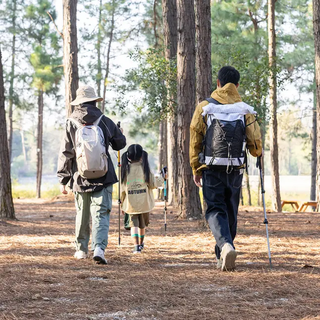 Комплект із трекінгових палиць алюмінієвих, 2 шт Naturehike NH17D001-Z, 61–135 см, зелений — Photo 5