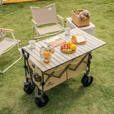 Візок туристичний складаний Naturehike Light CNK2350JJ012, 100+50 л, коричневий — Photo 8