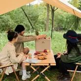 Туристичний холодильник Naturehike CNK2300BS011, 13 л, бежевий — Photo 14