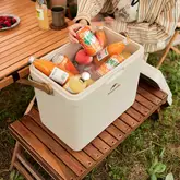 Туристичний холодильник Naturehike CNK2300BS011, 13 л, бежевий — Photo 13