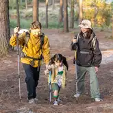 Трекінгова палиця 3-сек. Naturehike Men ST 01 6061 AL NH17D001-Z, алюміній, золотиста — Photo 13