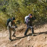 Трекінгова палиця 3-секційна Naturehike ST06 NH17D006-D, 66-135 см, зелена — Photo 19