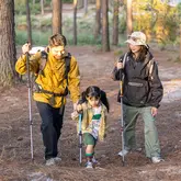 Комплект із трекінгових палиць алюмінієвих, 2 шт Naturehike NH17D001-Z, 61–135 см, зелений — Photo 10