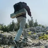 Трекінгова палиця Naturehike CNK2450DS016, 110 см, зелена — Photo 18