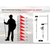Трекінгові палиці 2шт Naturehike ST 03 7075 AL NH17D017-D, 3-сек. Чорні — Photo 11